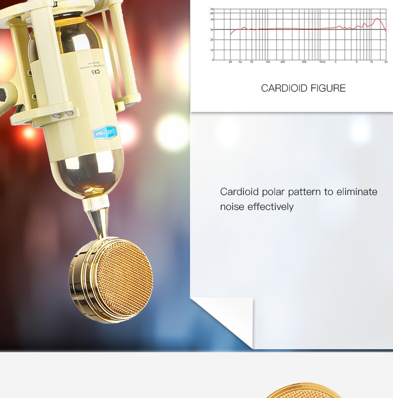 CX5 Large Diaphragm FET Condenser Mic