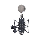 Alctron BV563 large diaphragm tube condenser microphone with interchangeable capsules